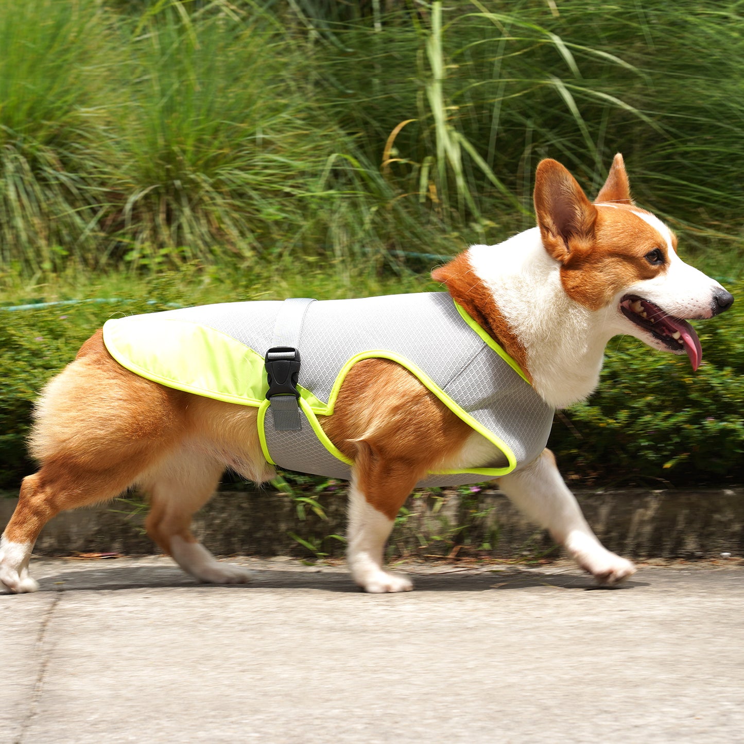 Roam-Ready Cooling Pet Jacket