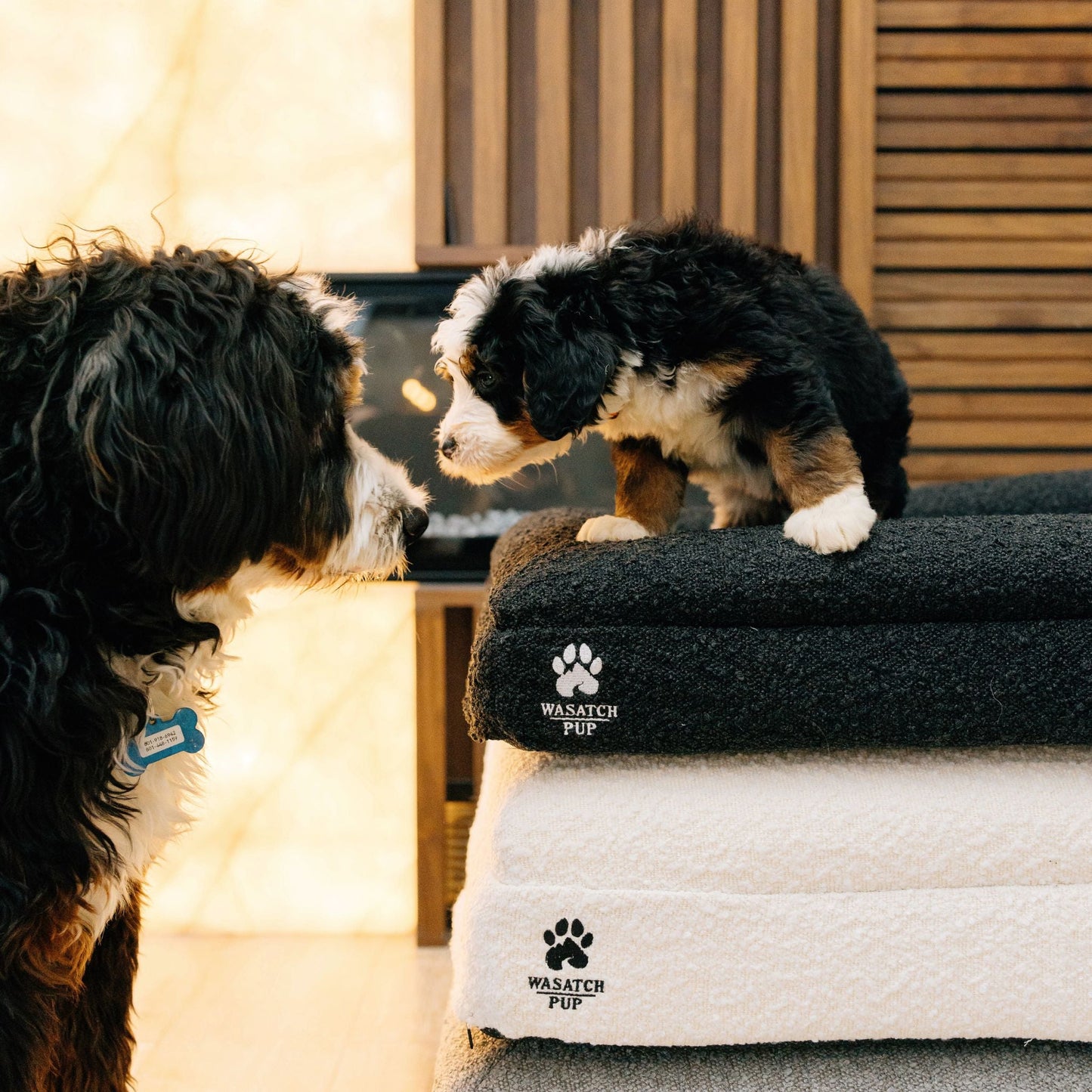 LuxeRest Bouclé Orthopedic Dog Bed