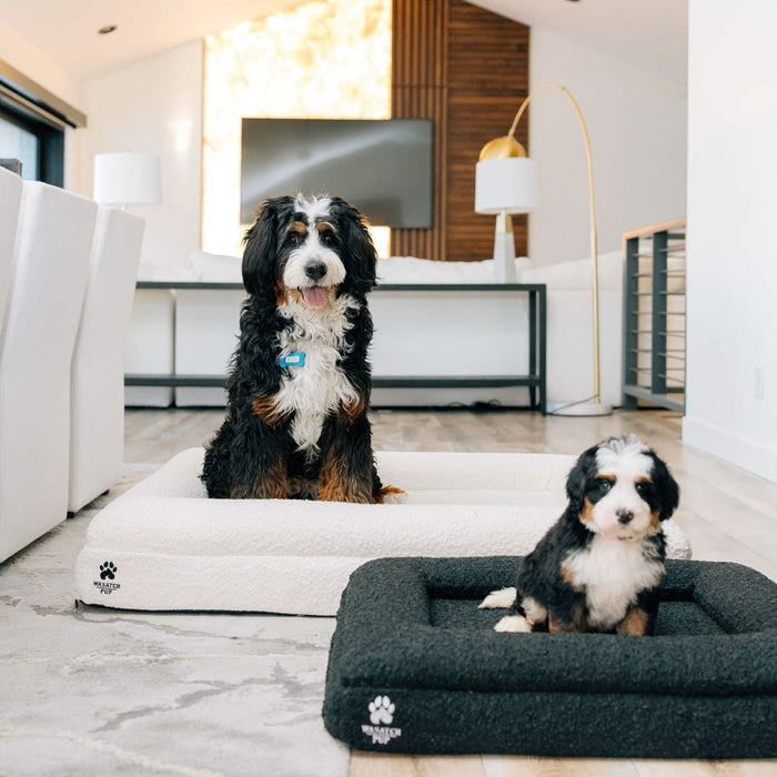 LuxeRest Bouclé Orthopedic Dog Bed
